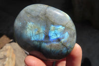 Polished Labradorite Galet / Palm Stones x 12 From Tulear, Madagascar