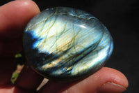 Polished Labradorite Galet / Palm Stones x 12 From Tulear, Madagascar