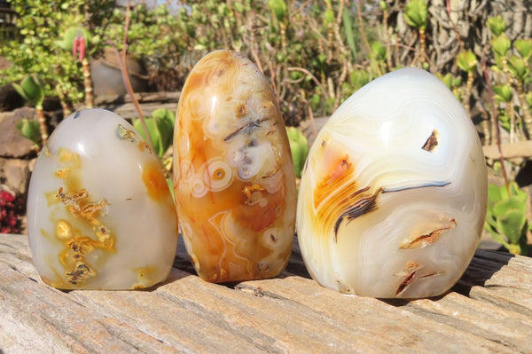 Polished Dendritic Agate Standing Free Forms x 3 From Moralambo, Madagascar