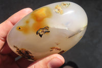 Polished Dendritic Agate Standing Free Forms x 3 From Moralambo, Madagascar