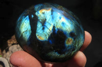 Polished Labradorite Galets / Palm Stones x 12 From Tulear, Madagascar