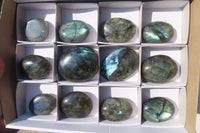 Polished Labradorite Galets / Palm Stones x 12 From Tulear, Madagascar