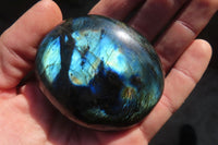 Polished Labradorite Galets / Palm Stones x 12 From Tulear, Madagascar