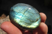 Polished Labradorite Galets / Palm Stones x 12 From Tulear, Madagascar