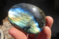 Polished Labradorite Galets / Palm Stones x 12 From Tulear, Madagascar