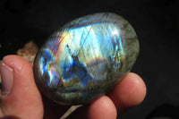 Polished Labradorite Galets / Palm Stones x 12 From Tulear, Madagascar