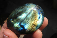 Polished Labradorite Galets / Palm Stones x 12 From Tulear, Madagascar