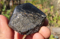 Natural Alluvial Schorl Black Tourmaline Crystals x 12 From Zimbabwe