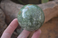 Polished Chrysoprase Spheres x 6 From Ambatondrazaka, Madagascar