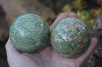 Polished Chrysoprase Spheres x 6 From Ambatondrazaka, Madagascar