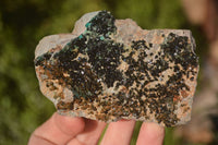 Natural Libethenite Crystals On Dolomite Matrix Specimens x 3 From Shituru, Congo