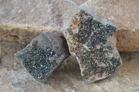 Natural Libethenite Crystals On Dolomite Matrix Specimens x 3 From Shituru, Congo