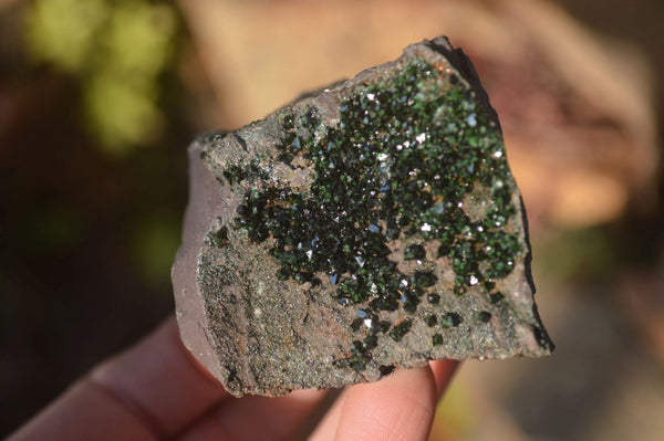 Natural Libethenite Crystals On Dolomite Matrix Specimens x 3 From Shituru, Congo