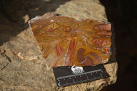 Polished On One Side Nguni Jasper Specimens x 2 From Prieska, South Africa