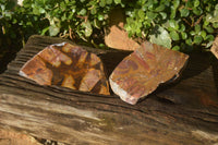 Polished On One Side Nguni Jasper Specimens x 2 From Prieska, South Africa