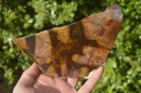 Polished On One Side Nguni Jasper Specimens x 2 From Prieska, South Africa