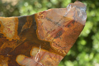 Polished On One Side Nguni Jasper Specimens x 2 From Prieska, South Africa