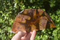 Polished On One Side Nguni Jasper Specimens x 2 From Prieska, South Africa