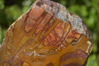 Polished On One Side Nguni Jasper Specimens x 2 From Prieska, South Africa