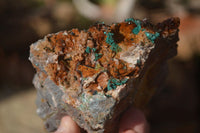 Natural Libethenite Crystals On Dolomite Matrix Specimens x 7 From Shituru, Congo