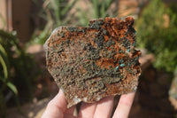 Natural Libethenite Crystals On Dolomite Matrix Specimens x 7 From Shituru, Congo