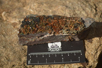 Natural Libethenite Crystals On Dolomite Matrix Specimens x 7 From Shituru, Congo