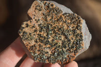 Natural Libethenite Crystals On Dolomite Matrix Specimens x 7 From Shituru, Congo