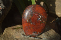 Polished Red Jasper Standing Free Forms x 1 From Madagascar