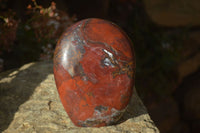 Polished Red Jasper Standing Free Forms x 1 From Madagascar