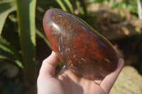 Polished Red Jasper Standing Free Forms x 1 From Madagascar