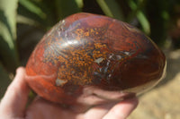 Polished Red Jasper Standing Free Forms x 1 From Madagascar