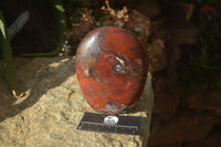 Polished Red Jasper Standing Free Forms x 1 From Madagascar