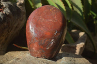 Polished Red Jasper Standing Free Forms x 1 From Madagascar