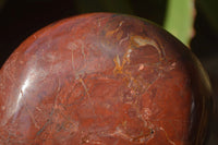 Polished Red Jasper Standing Free Forms x 1 From Madagascar