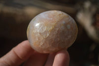 Polished Ocean Flower Agate Galet / Palm Stones x 12 From Antsahalova, Madagascar