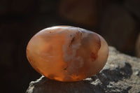 Polished Ocean Flower Agate Galet / Palm Stones x 12 From Antsahalova, Madagascar