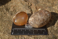 Polished Ocean Flower Agate Galet / Palm Stones x 12 From Antsahalova, Madagascar