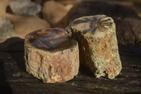 Polished Petrified Wood Branch Pieces x 2 From Gokwe, Zimbabwe