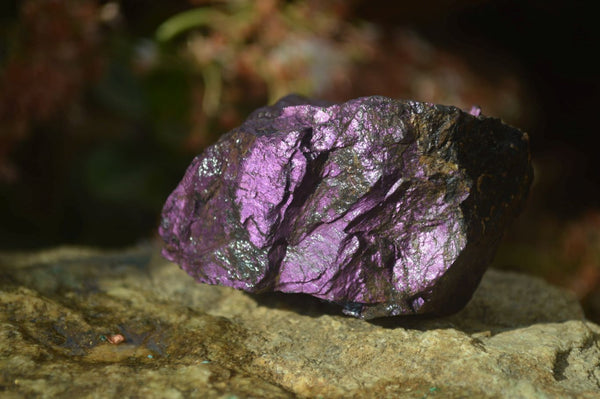 Natural Metallic Purpurite Cobbed Specimens x 6 From Erongo, Namibia