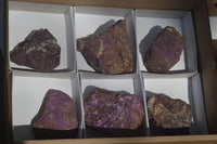 Natural Metallic Purpurite Cobbed Specimens x 6 From Erongo, Namibia