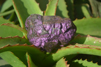 Natural Metallic Purpurite Cobbed Specimens x 6 From Erongo, Namibia