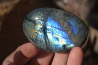 Polished Labradorite Galet / Palm Stones x 12 From Tulear, Madagascar