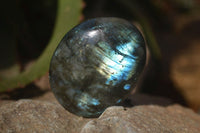 Polished Labradorite Galet / Palm Stones x 12 From Tulear, Madagascar