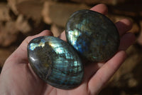 Polished Labradorite Galet / Palm Stones x 12 From Tulear, Madagascar