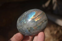 Polished Labradorite Galet / Palm Stones x 12 From Tulear, Madagascar