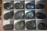 Polished Labradorite Galet / Palm Stones x 12 From Tulear, Madagascar