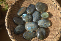 Polished Labradorite Galet / Palm Stones x 12 From Tulear, Madagascar