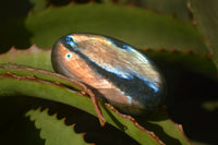 Polished Labradorite Galet / Palm Stones x 12 From Tulear, Madagascar