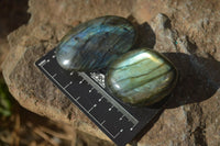 Polished Labradorite Galet / Palm Stones x 12 From Tulear, Madagascar