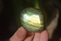 Polished Labradorite Galet / Palm Stones x 12 From Tulear, Madagascar